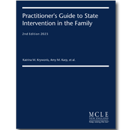 Practitioner's Guide to State Intervention in the Family