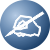 transctipt_icon